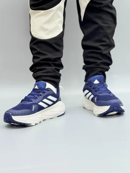 ADIDAS TERREX 2.0 | BLUE